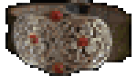Thundergod's Vigor